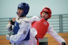 中银香港第 55 届体育节-跆拳道男子色带赛2012